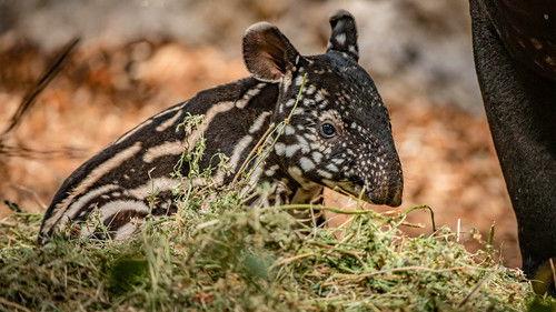 Background image for Episode 1