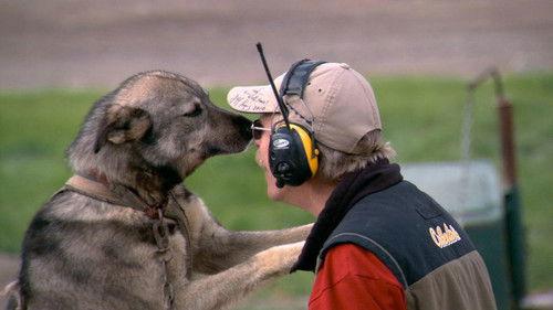 Modern Marvels Season 17 Episode 5 - Dogs