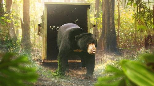 Asia Season 1 Episode 7 - Saving Asia