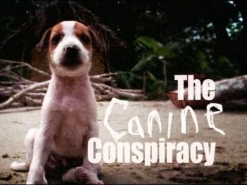 Natural World Season 20 Episode 13 - The Canine Conspiracy