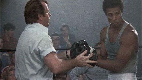 Hill Street Blues Season 4 Episode 8 - Midway to What?