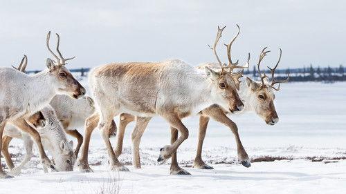 Adventure Guides Season 2 Episode 7 - Episode 7