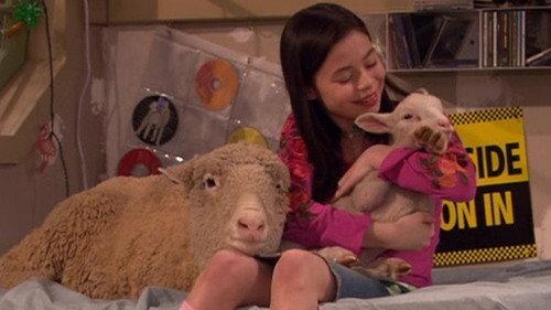 Drake & Josh Season 3 Episode 11 - Sheep Thrills
