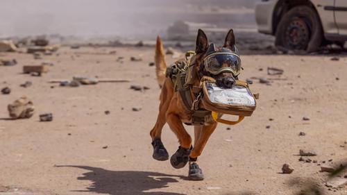 Dark Hearts Season 2 Episode 3 - Episode 3