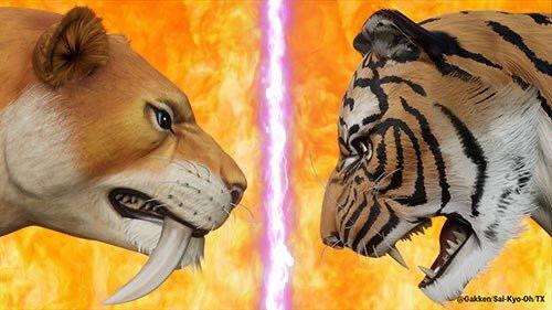 Sai-Kyo-Oh! Zukan Season 1 Episode 6 - Smilodon VS Siberian Tiger