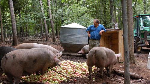 A Chef at the Shack Season 2 Episode 2 - Episode 2