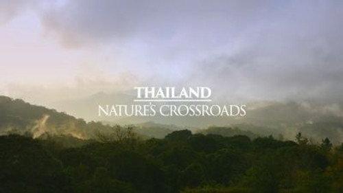 Mysteries of the Mekong Season 1 Episode 5 - Thailand: Nature's Crossroads