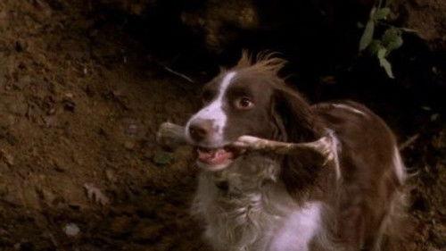 New Tricks Season 4 Episode 6 - Buried Treasure