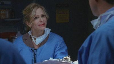 Background image for Walking Back the Cat