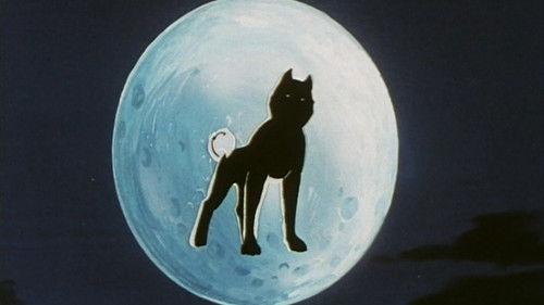 Silver Fang: The Shooting Star Gin Season 1 Episode 7 - Carve it Into Your Heart! A Male's Heated Oath