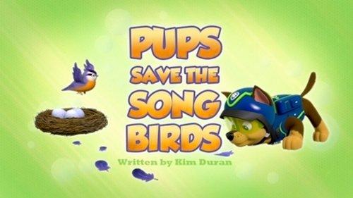 PAW Patrol Season 3 Episode 22 - Pups Save the Songbirds