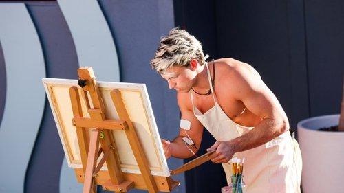 Big Brother Season 15 Episode 19 - Episode 19