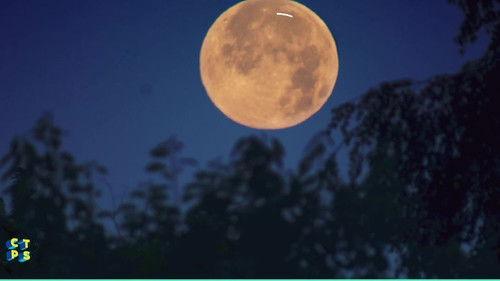 C'est toujours pas sorcier Season 2 Episode 16 - Episode 16