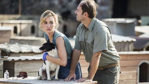 Blondynka Season 8 Episode 2 - Episode 2