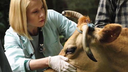 Blondynka Season 3 Episode 5 - Episode 5