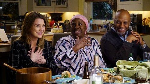 Grey's Anatomy Season 13 Episode 18 - Be Still, My Soul