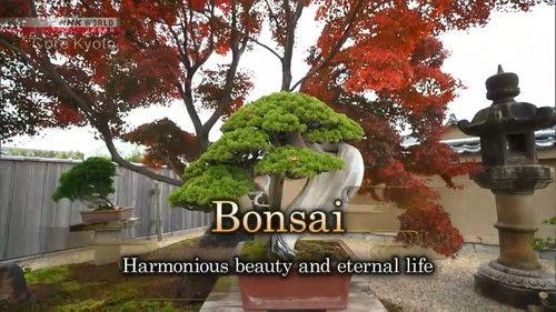 Core Kyoto Season 14 Episode 1 - Bonsai: Harmonious Beauty and Eternal Life