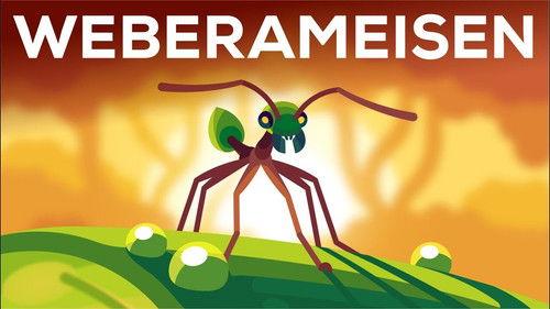 Kurzgesagt - In a Nutshell Season 8 Episode 12 - The Warrior Kingdoms of the Weaver Ant