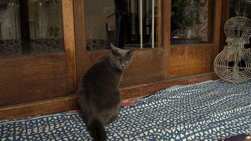 A Cat's-Eye View of Japan Season 4 Episode 3 - Hokkaido: Furano's Play Areas