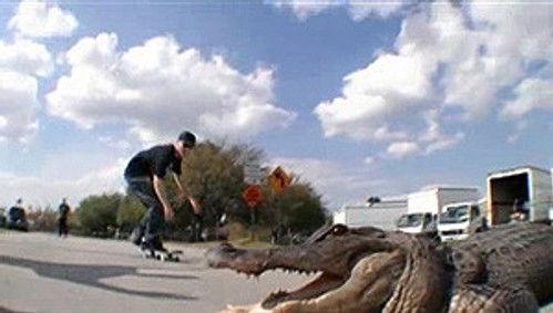 Rob & Big Season 2 Episode 6 - Tampa