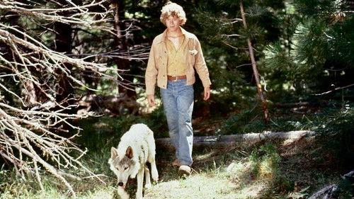 The Wonderful World of Disney Season 22 Episode 17 - The Flight of the Grey Wolf (2)