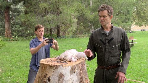 undefined Season 3 Episode 6 - The Chicken and the Pear