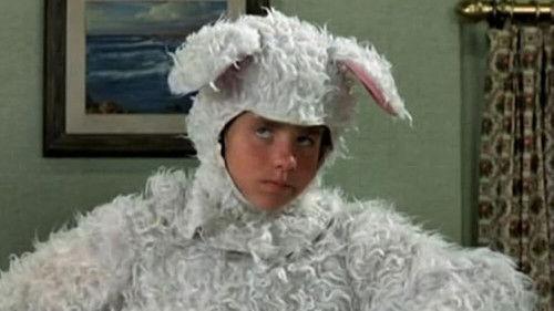 Mayberry R.F.D. Season 3 Episode 5 - All for Charity