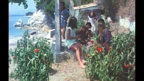 Wildcat Under Glass Season 1 Episode 2 - Episode 2