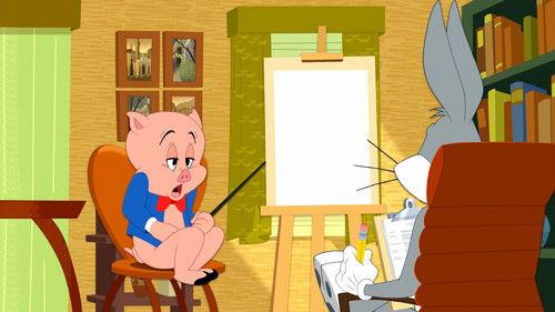 Background image for Mrs. Porkbunny's