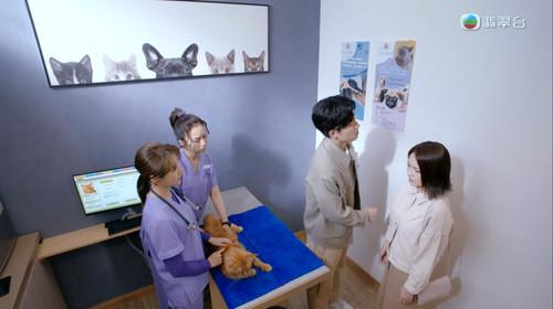 My Pet My Angel Season 1 Episode 4 - Episode 4