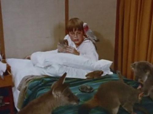 Skippy the Bush Kangaroo Season 3 Episode 7 - The Medicine Man