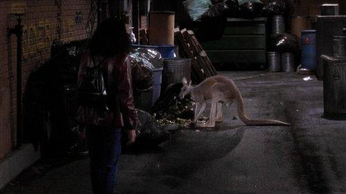 Background image for Don't Ask, Don't Tell