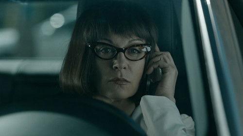 The Bridge Season 1 Episode 3 - Episode 3