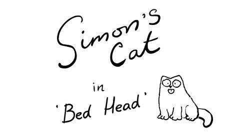 Simon's Cat Season 10 Episode 6 - Bed Head