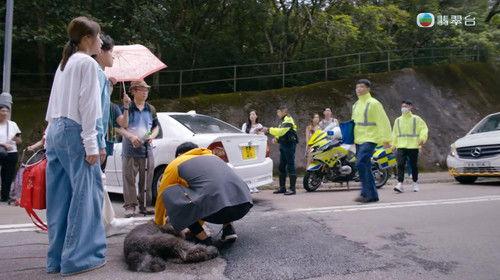 My Pet My Angel Season 1 Episode 1 - Episode 1