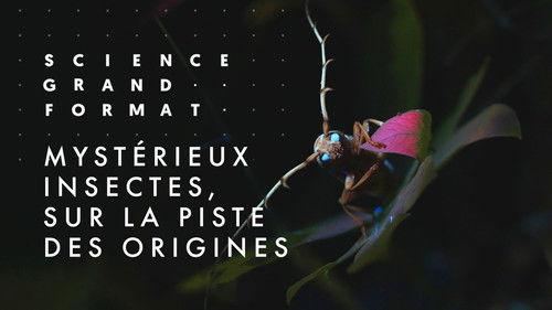 Science grand format Season 7 Episode 11 - Episode 11