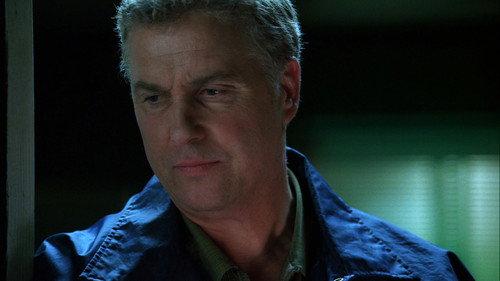 CSI: Crime Scene Investigation Season 7 Episode 24 - Living Doll