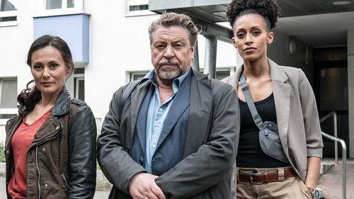 undefined Season 1 Episode 17 - Episode 17