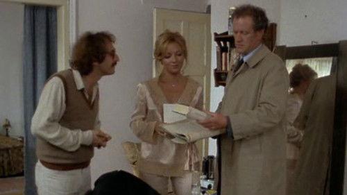 Der ganz normale Wahnsinn Season 1 Episode 9 - Episode 9