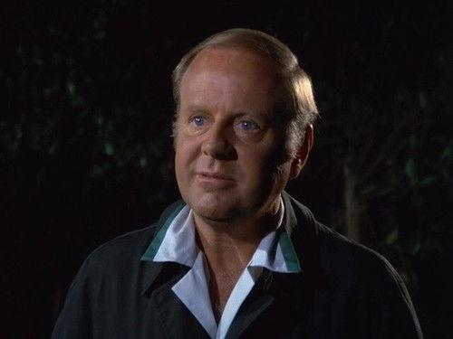 Eight Is Enough Season 1 Episode 4 - Women, Ducks and the Domino Theory