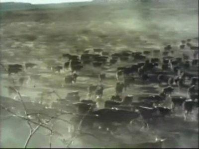 Gunsmoke Season 13 Episode 2 - Cattle Barons