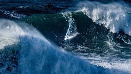 100 Foot Wave Season 1 Episode 5 - Chapter V - The Circus