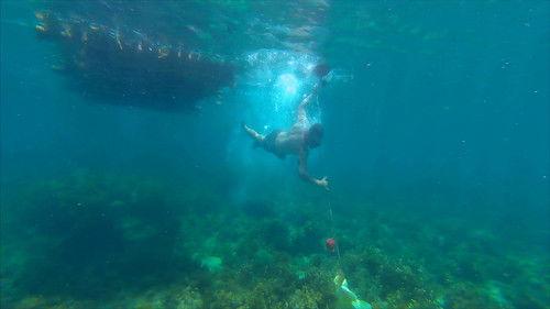 Robinson Season 27 Episode 25 - Episode 25