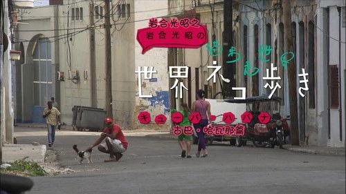 Mitsuaki Iwago's World “Cats” Travelogue Season 1 Episode 4 - Havana, Cuba