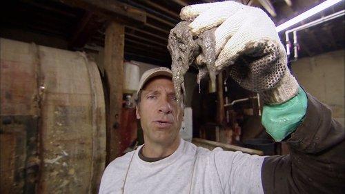Dirty Jobs Season 3 Episode 11 - Leather Tanner