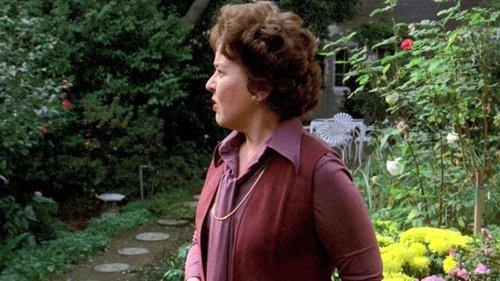 Background image for Mirror, Mirror on the Wall . . .