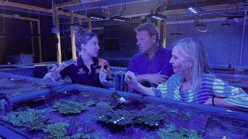 Vores jord - kurs mod nye eventyr Season 2 Episode 6 - Episode 6