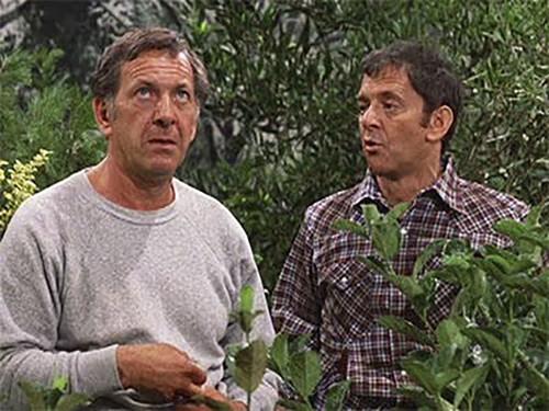 The Odd Couple Season 3 Episode 6 - I'm Dying of Unger