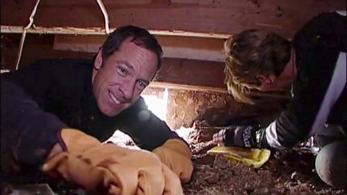 Dirty Jobs Season 2 Episode 6 - Termite Controller