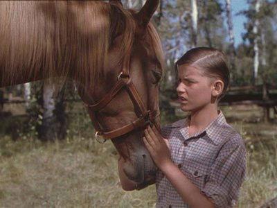 Background image for Lock, Stock & Barrel